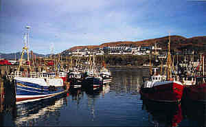 mallaig harbour the west coast of scotland' principal fishing and ferry port